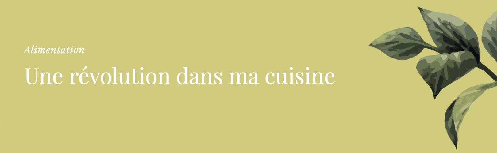 Apprentie Sage - Une révolution dans ma cuisine